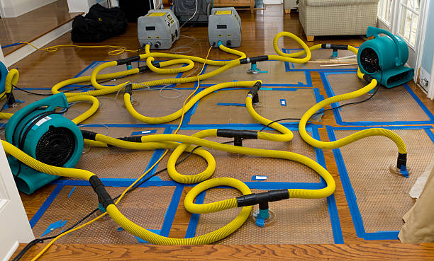 Professional Crawl Space Water Removal technician working in Piedmont, OH
